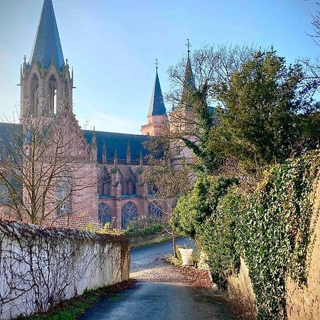 Schoenster Blick Auf Oppenheim! Exterior photo